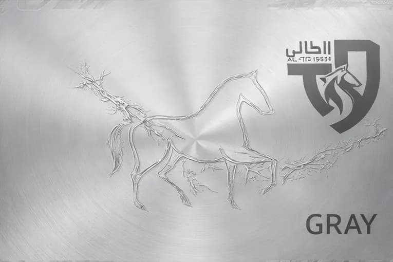 grey_membership plan